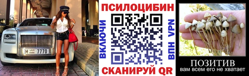 Псилоцибиновые грибы Psilocybe  Красный Кут 
